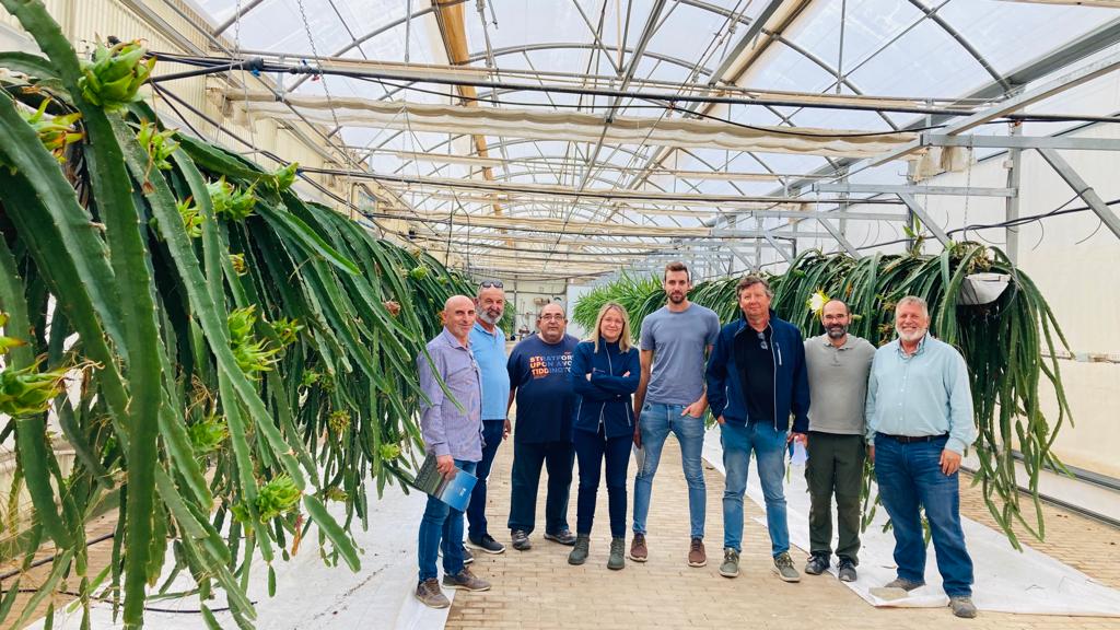 Técnicos del IMIDA visitan la empresa New Growing System (NGS) para conocer los últimos avances del cultivo de la pitaya en sistema hidropónico