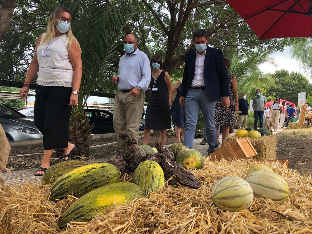 El IMIDA da a conocer más de sesenta variedades tradicionales de melón conservadas en su Banco de Germoplasma