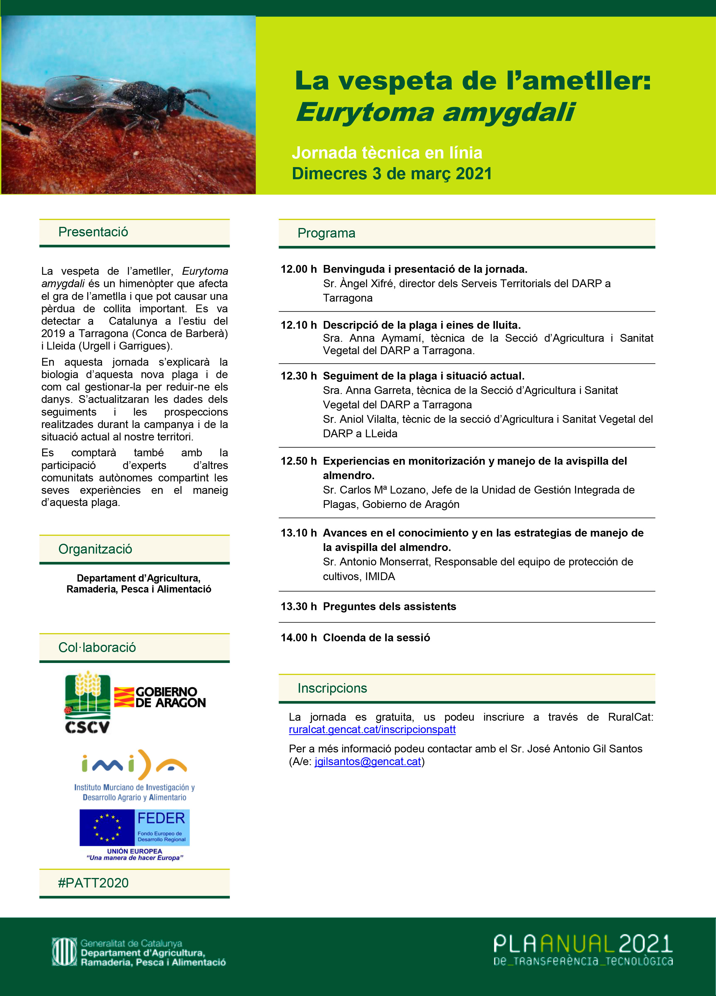Nueva ponencia sobre los avances en el conocimiento y en las estrategias de manejo de la Avispilla del Almendro