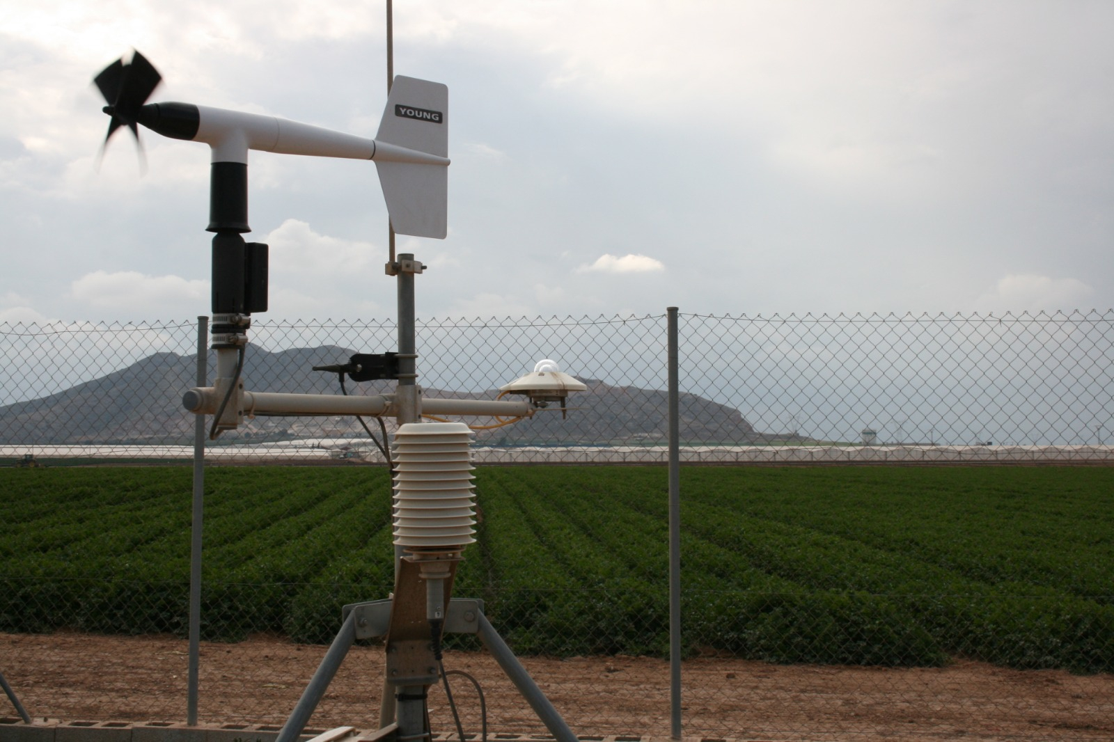 El IMIDA desarrolla una aplicación móvil gratuita que ofrece datos meteorológicos y programas concretos de riego según parcela y cultivo