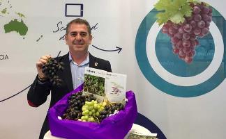 Manuel Tornel: «La uva de mesa tiende a superar el consumo de fruta de hueso y de cítricos»