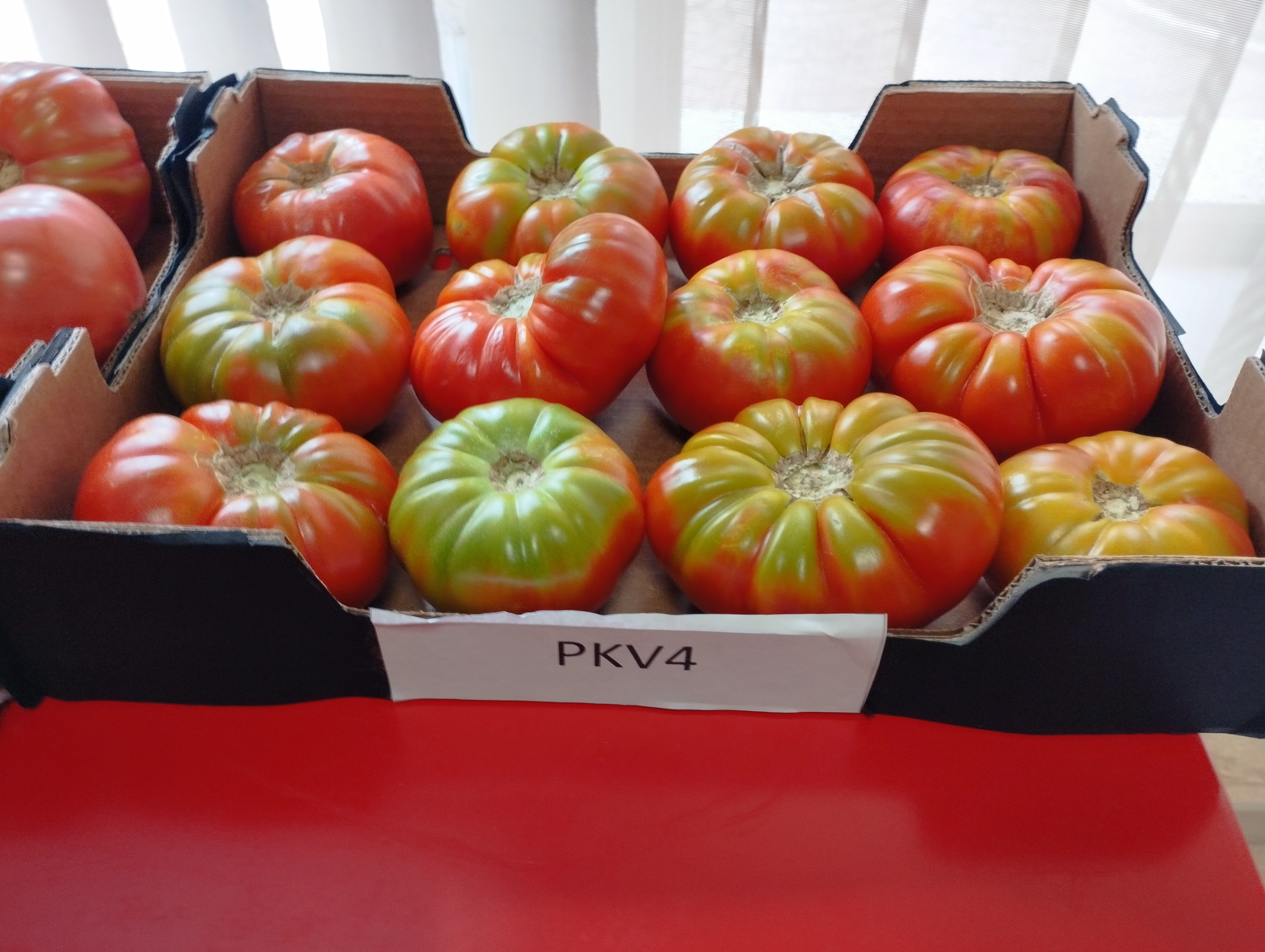 Subasta experimental de tomate