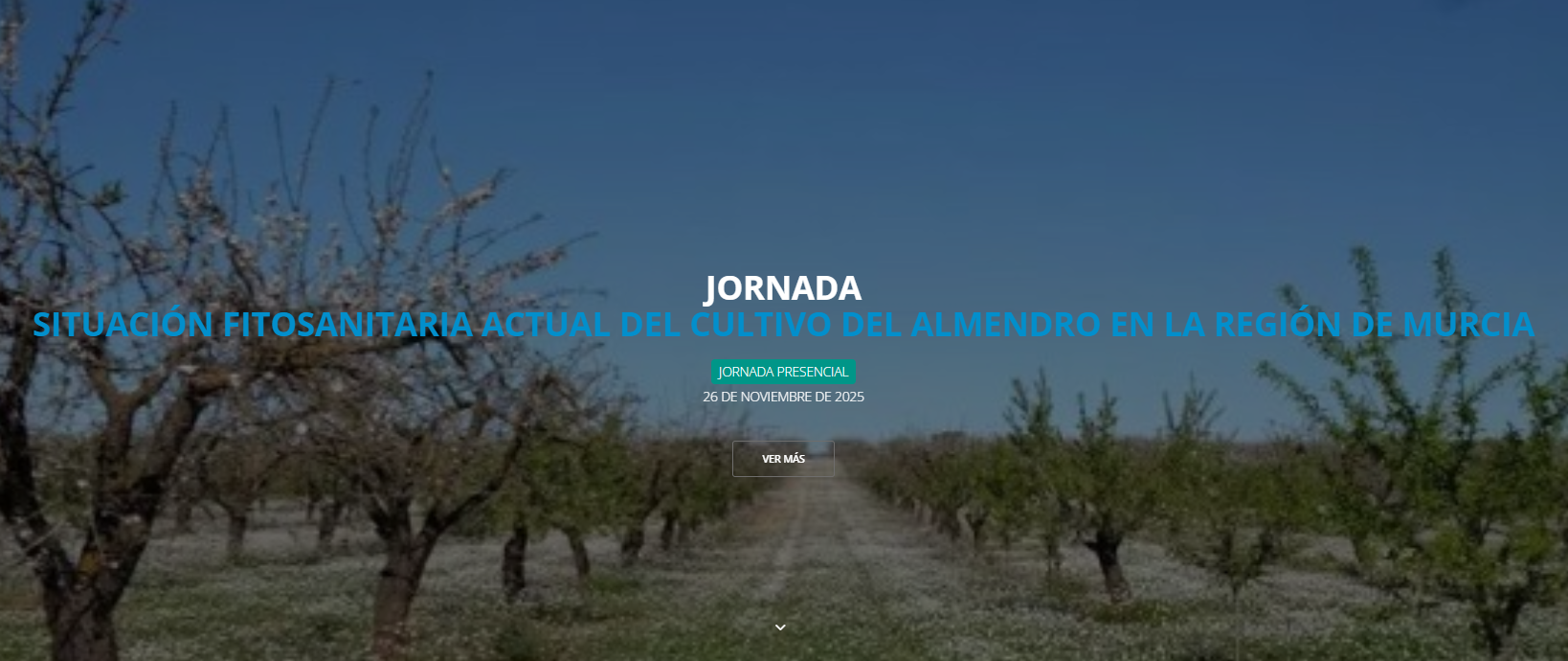 Situación fitosanitaria actual del cultivo del almendro en la Región de Murcia