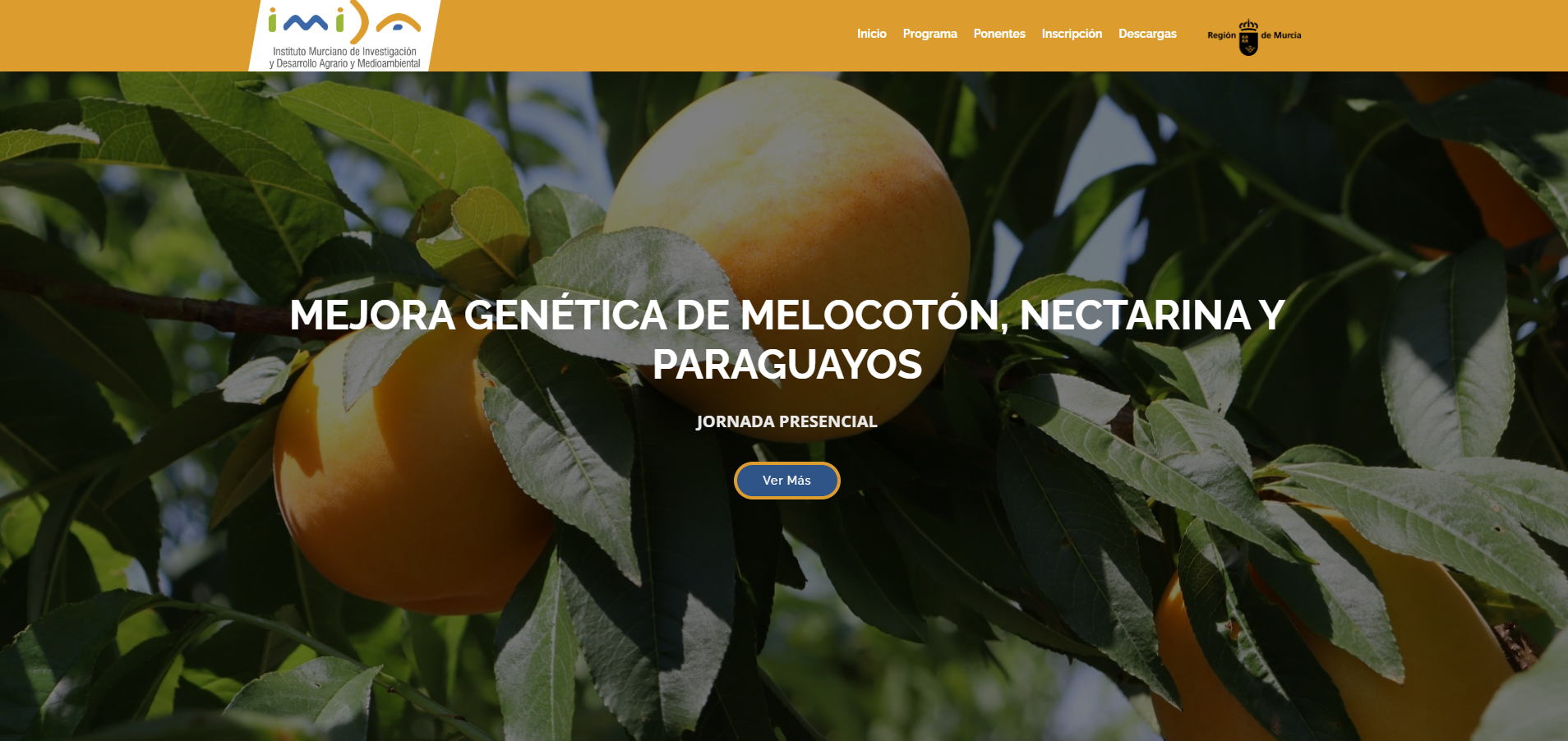Mejora genética de melocotón, nectarina y paraguayos